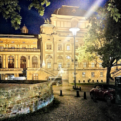 © Prof. Ali Meyer | Hamlet | Karin Henkel | Komparserie Ali Meyer :: Darstellender Kuenstler | Burgtheater auf Tournee im Staatstheater Wiesbaden 2025