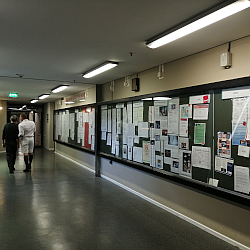 © Prof. Ali Meyer | Hamlet | Karin Henkel | Komparserie Ali Meyer :: Darstellender Kuenstler | Burgtheater auf Tournee im Staatstheater Wiesbaden 2025